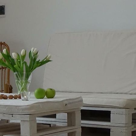 Casalba Apartment Balestrate ภายนอก รูปภาพ